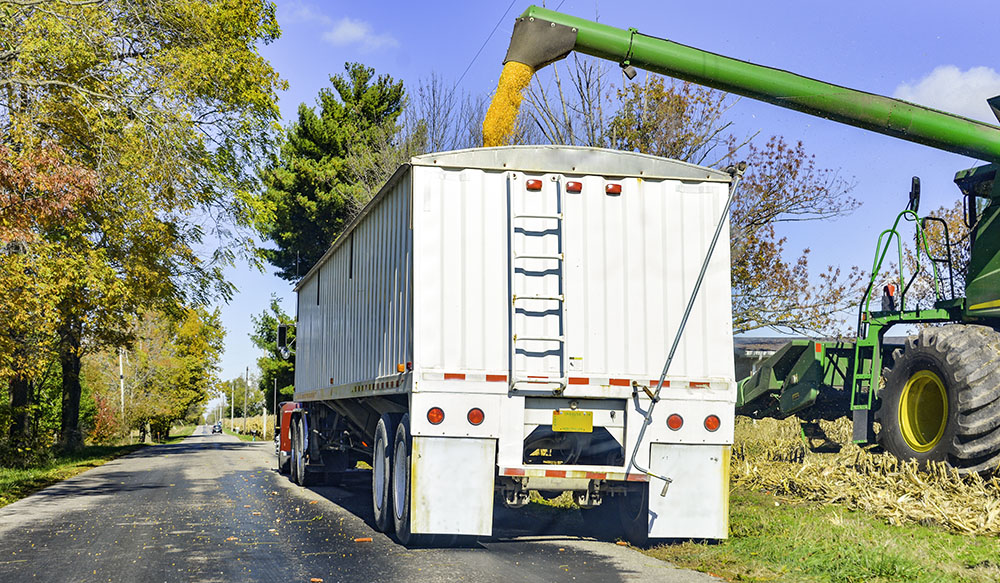 Grain filling into trailer